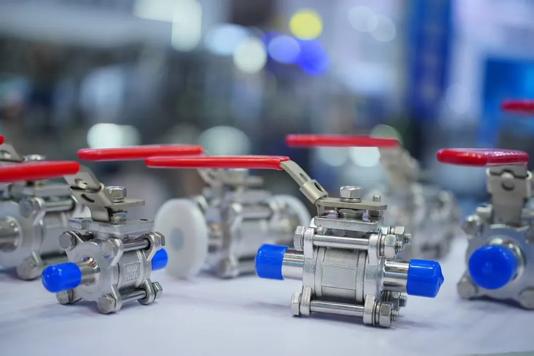 Sanitary Valve Detail