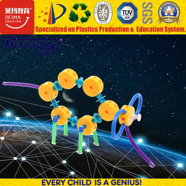 Quebra-cabeça de Blocos de Plástico Personalizados Brinquedo Educativo