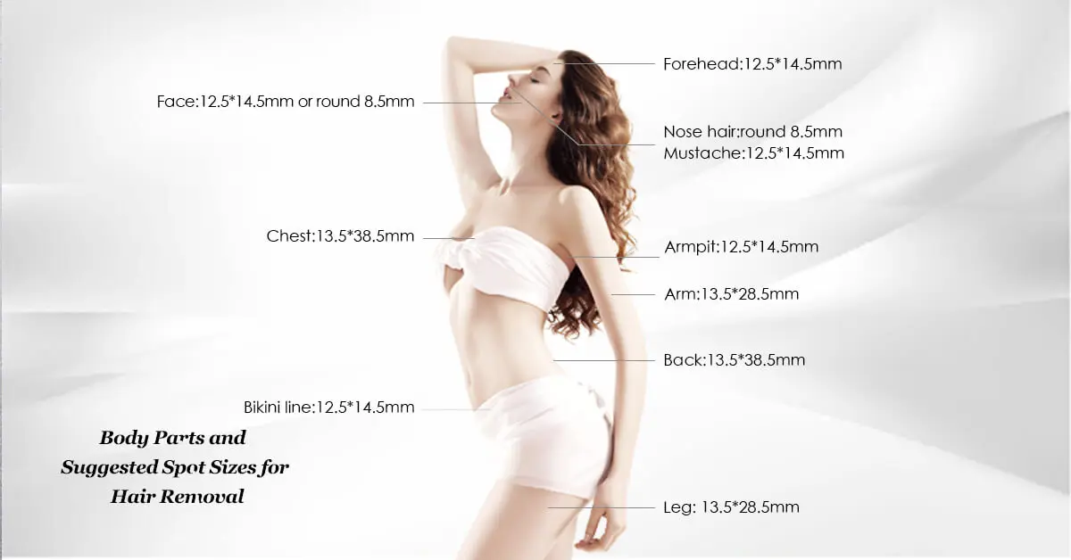 Body Hair Removal Areas