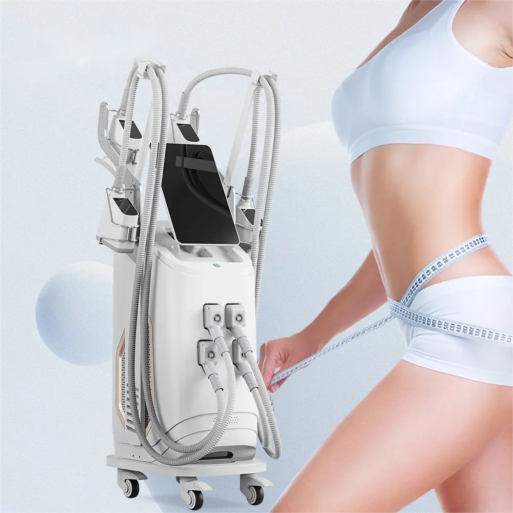OEM Sano cryolipolysis slimming machine The Best Cryolipolyse Machine / Cryolipolysis Slimming Machine Supplier, Factories