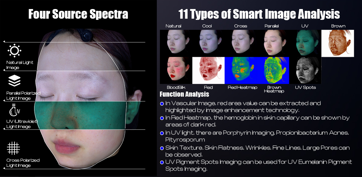 Four Source Spectra