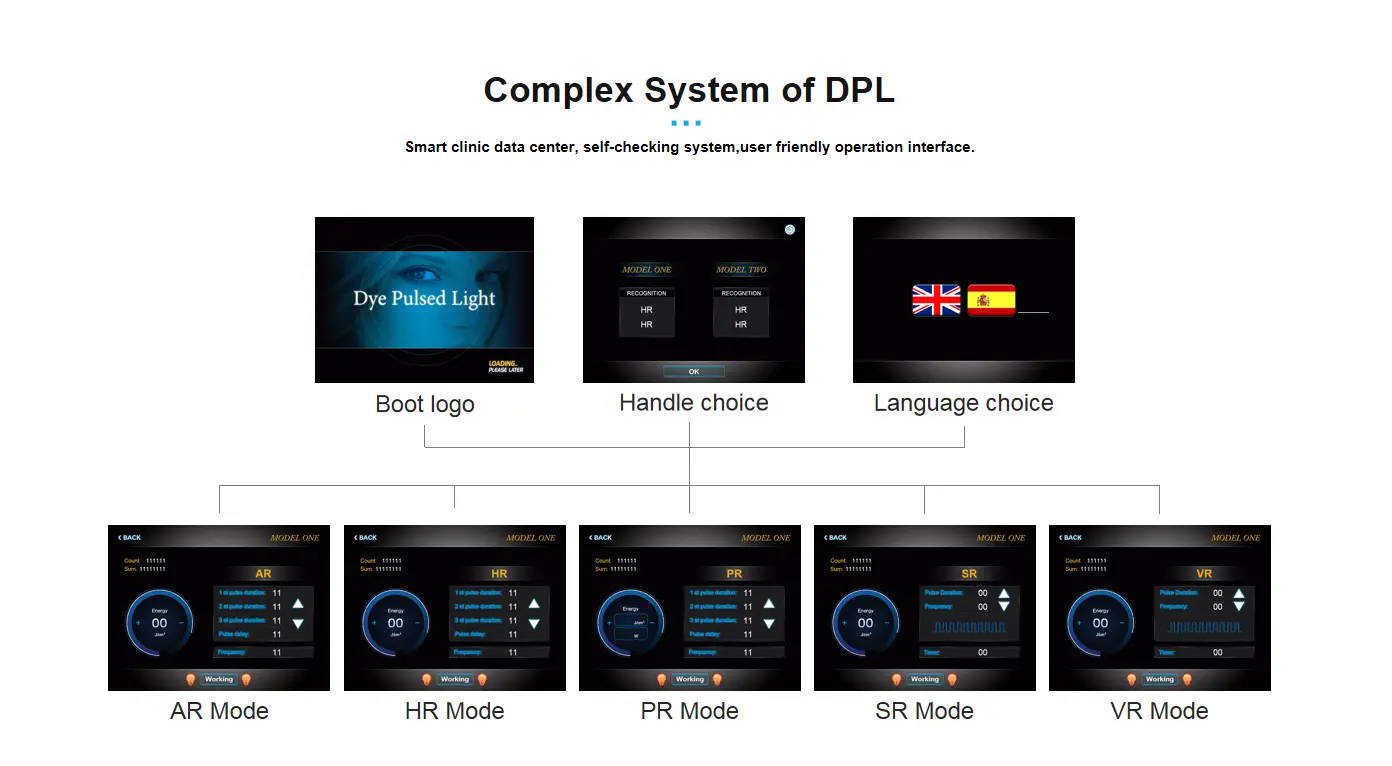 Complex System of DPL