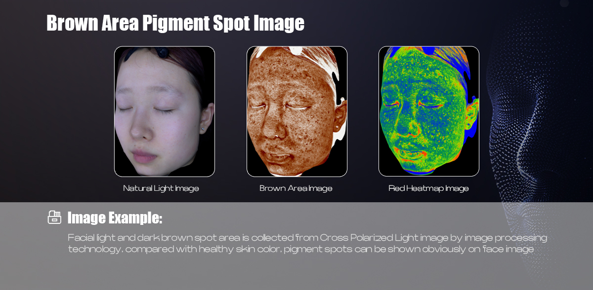 BROWN Area Spot Image