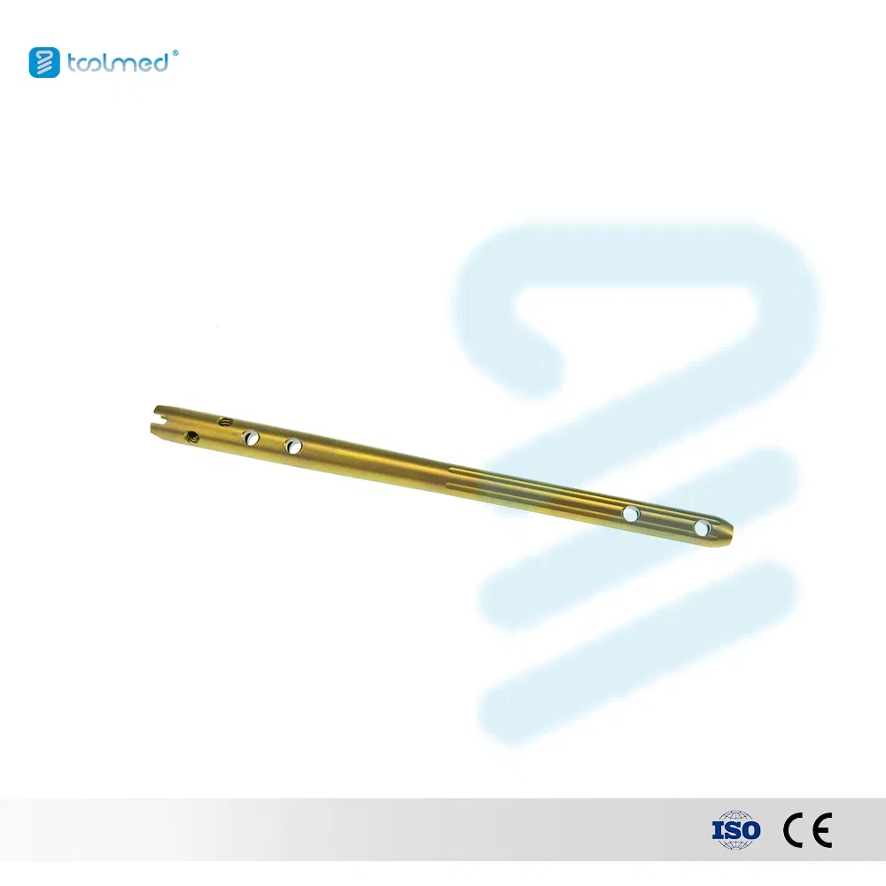 Multifunction Intramedullary Femoral Nail Orthopedic Trauma Implant Interlocking Intracortical Implant Interventional Material 11*160