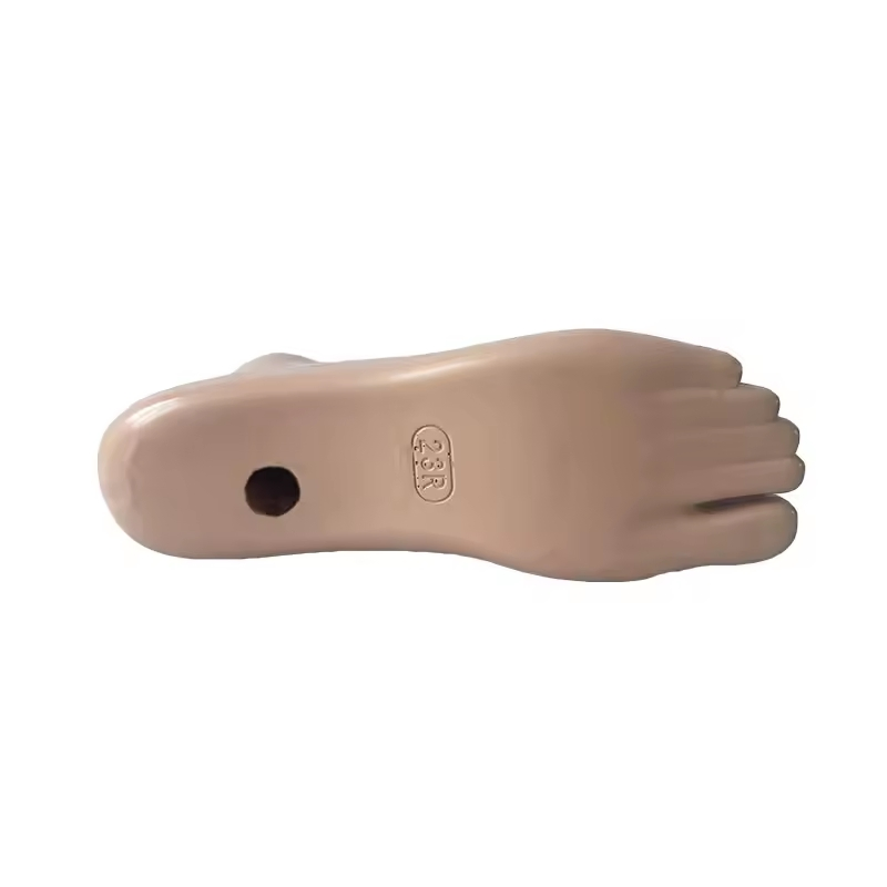 High-Quality Sach Foot Prosthetic Solutions for Better Comfort