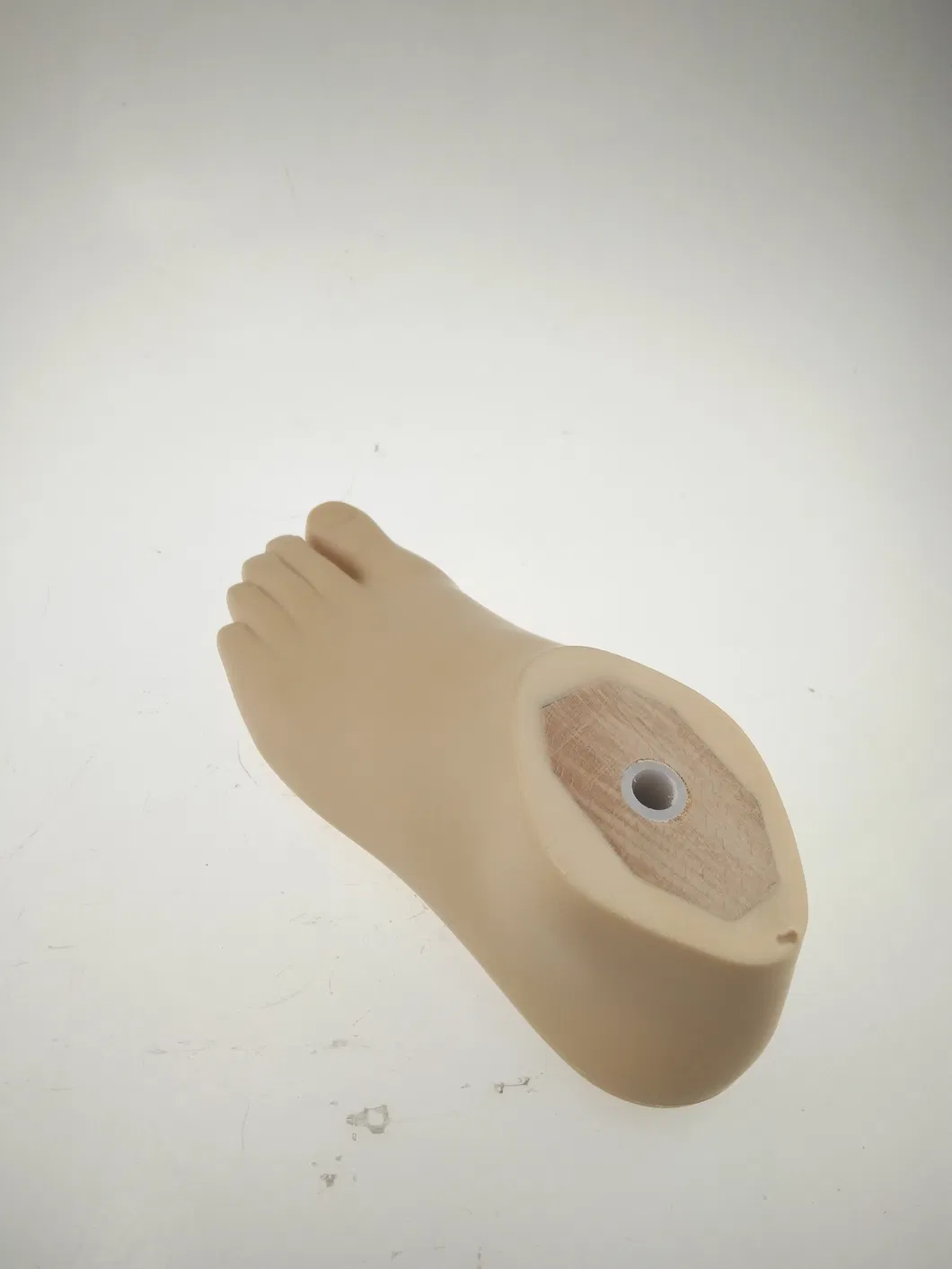 Prosthesis Solution 8