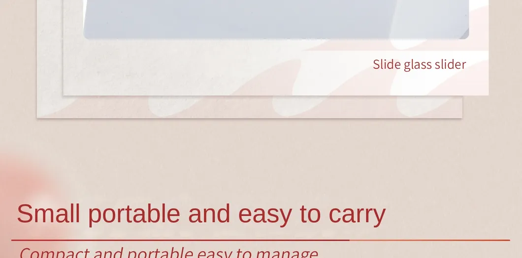 Slide Storage Container