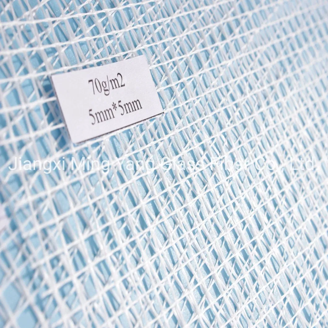 Fiberglass Mesh Detail 4