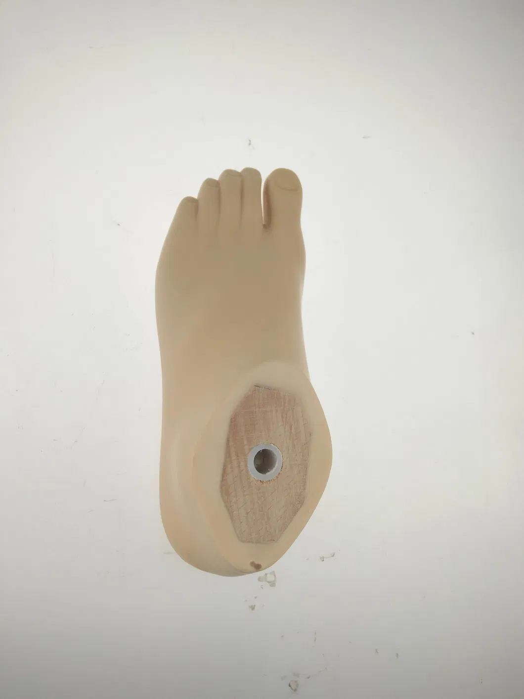 Prosthesis Solution 6