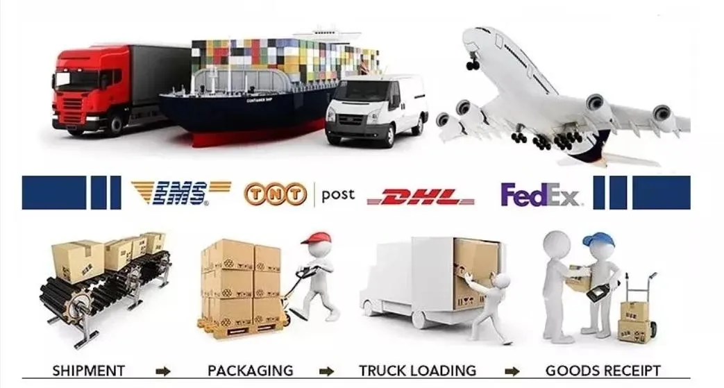 Shipping Logistics
