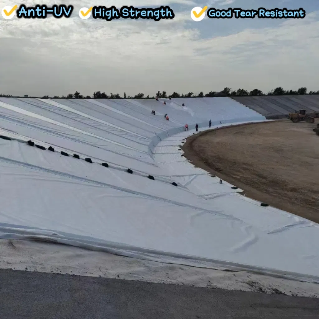 Project Application 2