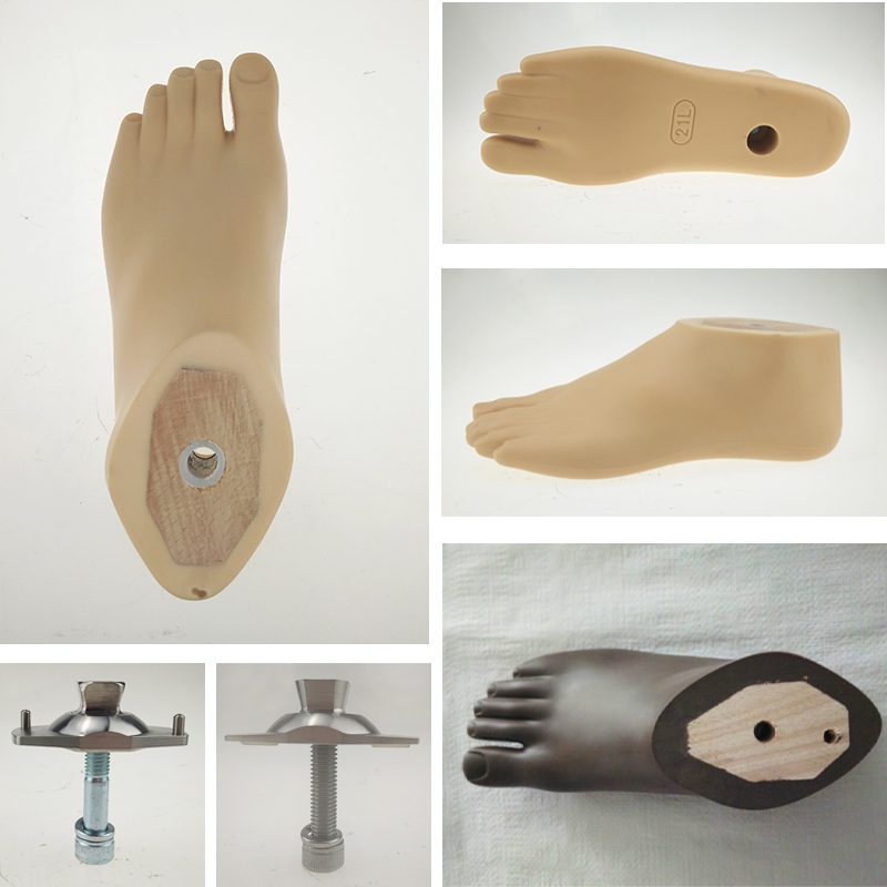 Advanced Durable Sach Foot for Optimal Ankle Prosthesis Solutions
