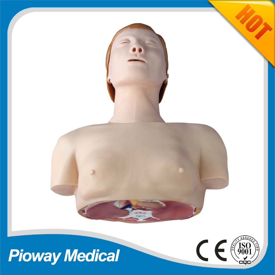 Medical Teaching Adult and Baby CPR Training Manikin (XC-400 Series CPR Manikins)