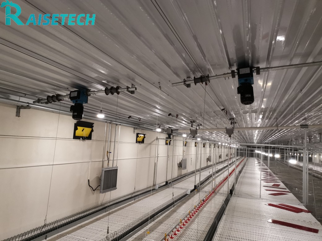 Innovative Chain Feeding Solution for Broilers with 24-Month After-Sale Support