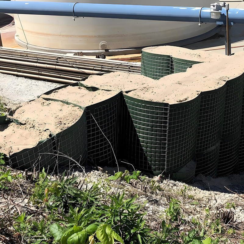 Ultimate Home Flood Prevention System for Any Climate