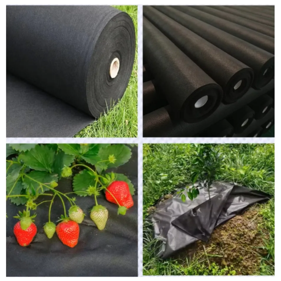 Eco-Friendly Solution