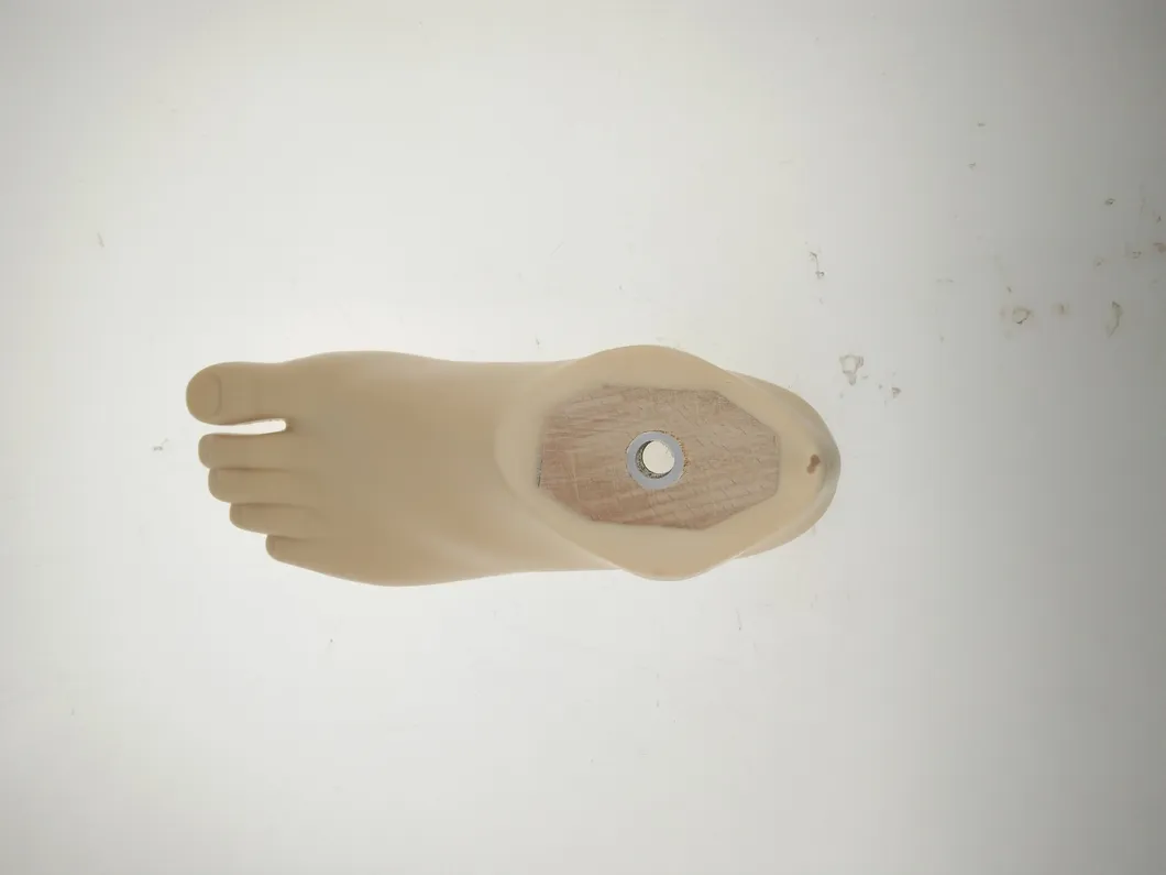 Prosthesis Solution 5