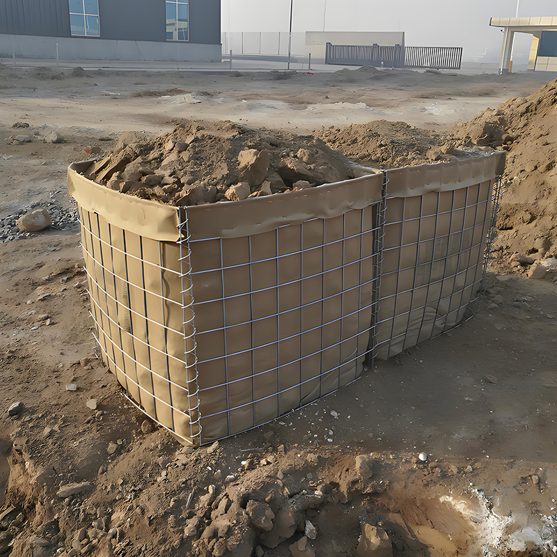 Ultimate Home Flood Prevention System for Any Climate