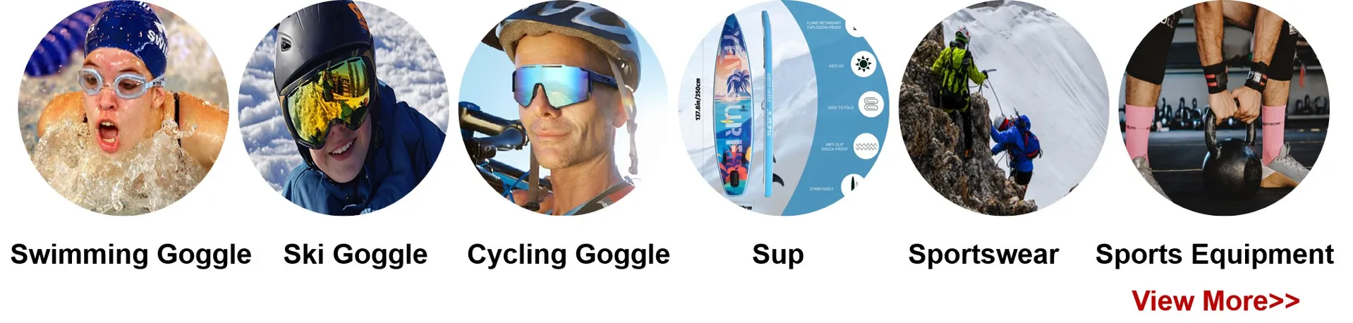 Professional Partner