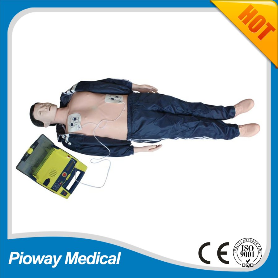 Medical Teaching Adult and Baby CPR Training Manikin (XC-400 Series CPR Manikins)