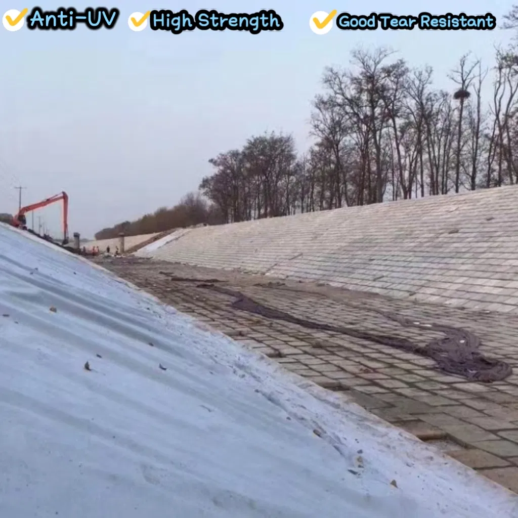 Project Application 1