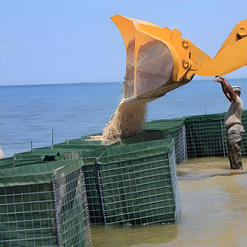 Ultimate Home Flood Prevention System for Any Climate