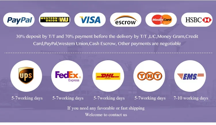 Payments and Shipping