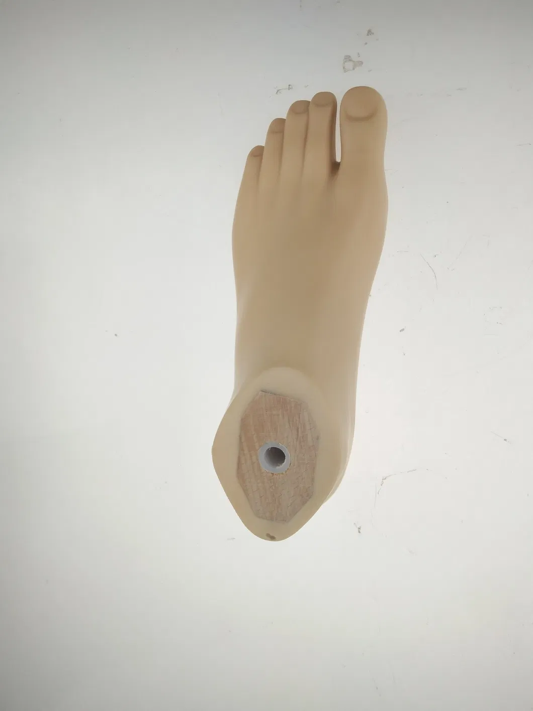 Prosthesis Solution 1