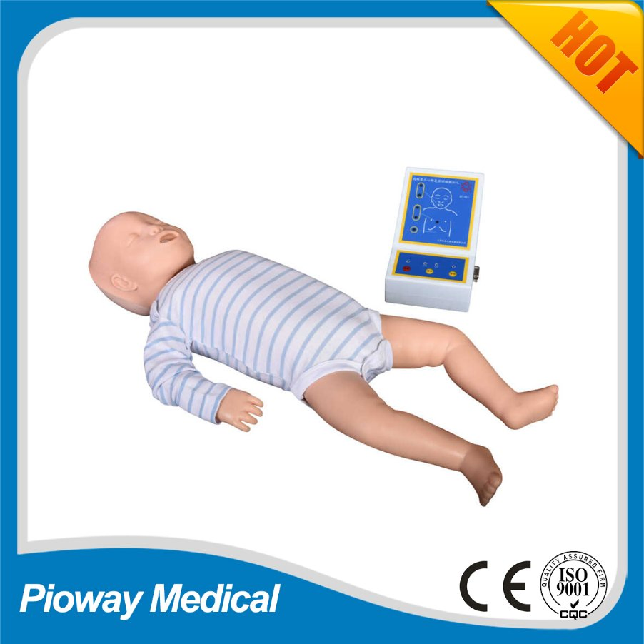 Medical Teaching Adult and Baby CPR Training Manikin (XC-400 Series CPR Manikins)
