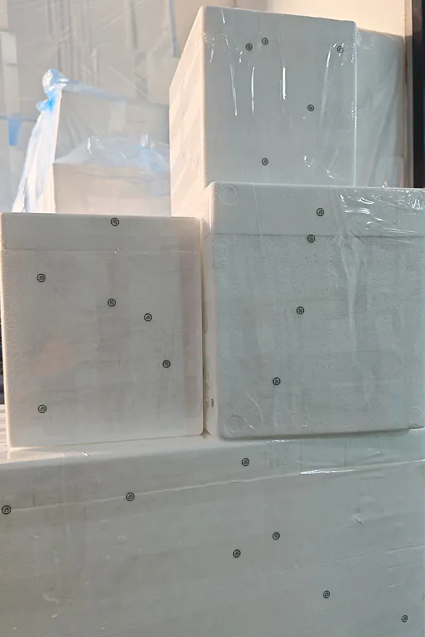 Cold Chain Packaging 1