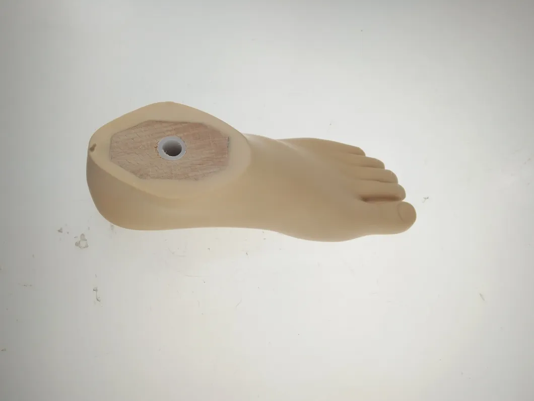 Prosthesis Solution 7