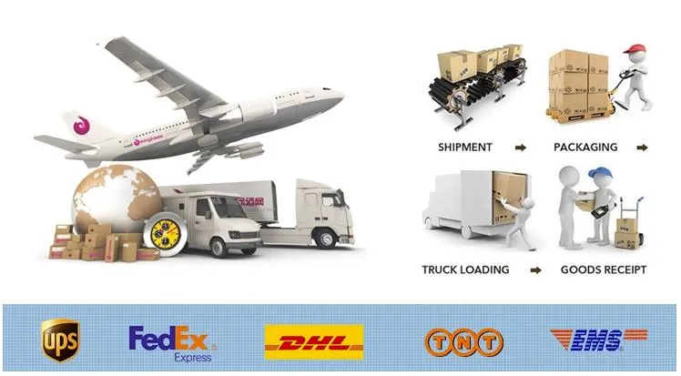 Shipping Logistics