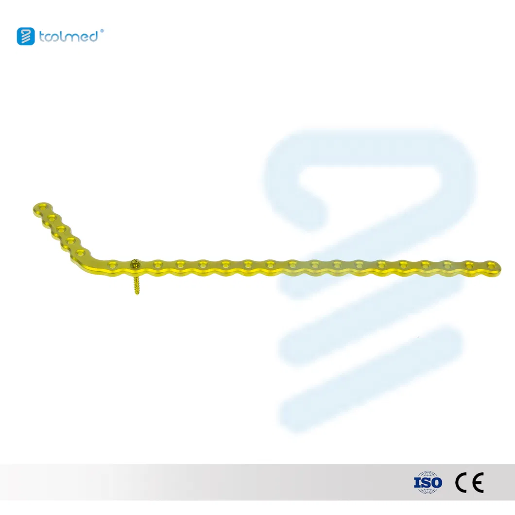 Surgical Mini Locking Plate
