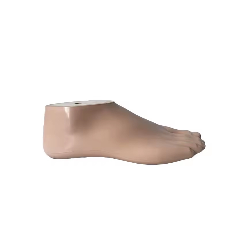 High-Quality Sach Foot Prosthetic Solutions for Better Comfort