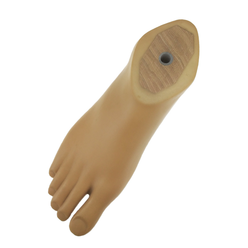 Advanced Durable Sach Foot for Optimal Ankle Prosthesis Solutions