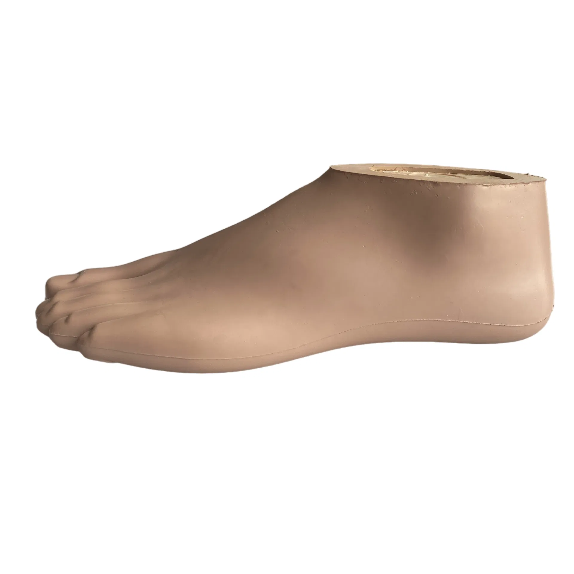 Sach Foot Prosthetic Solution 4