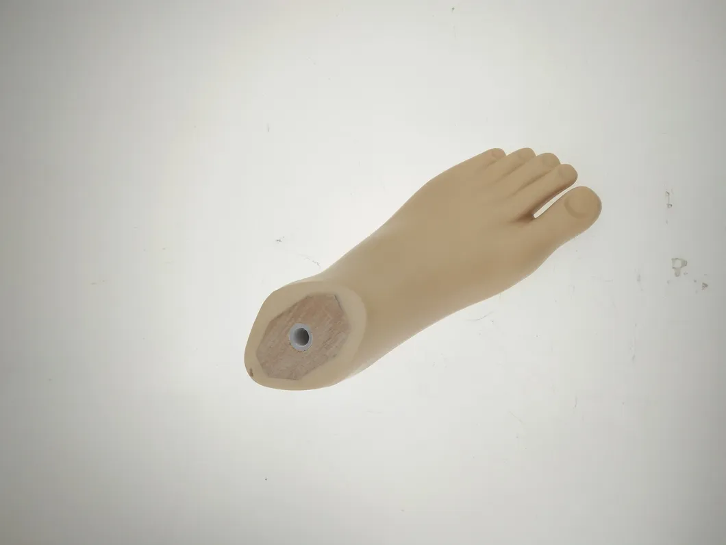 Prosthesis Solution 4