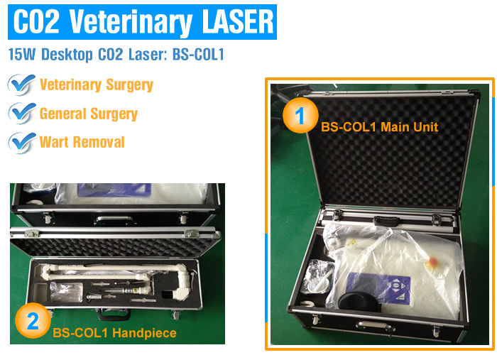 Veterinary Device Animal CO2 Medical Laser Pet Surgical CO2 Laser Machine