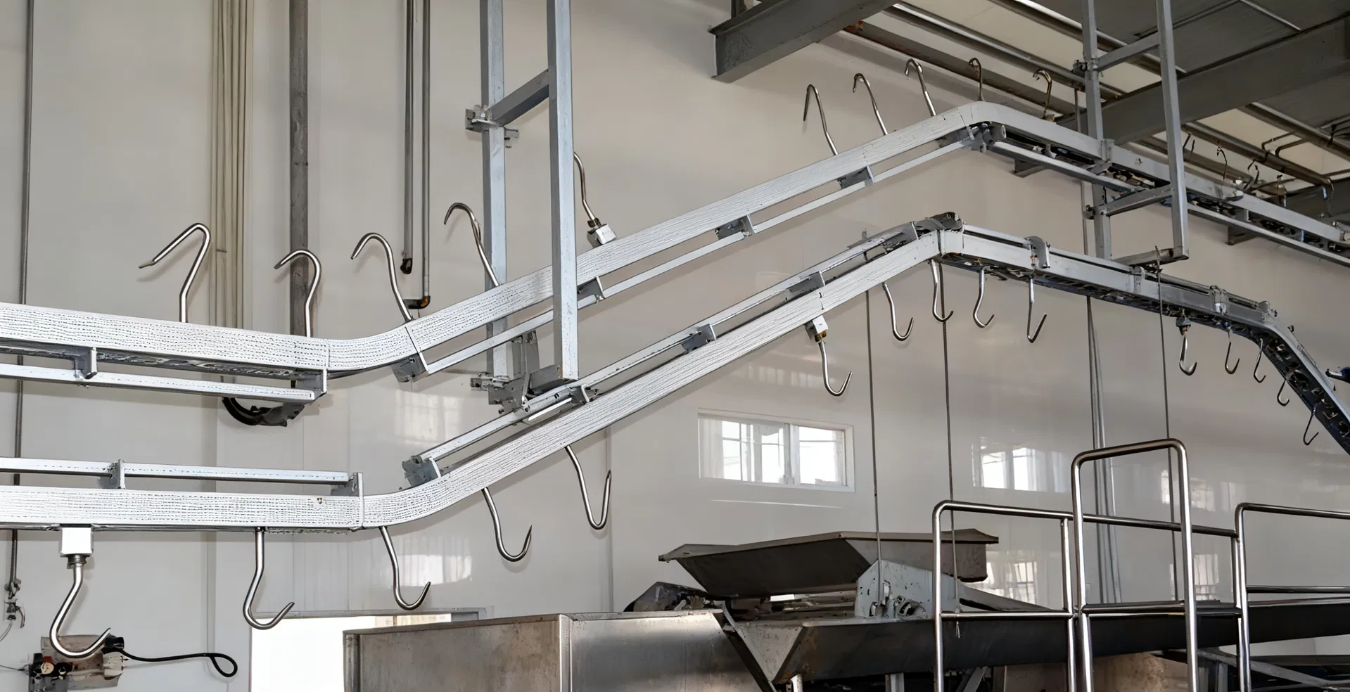 Slaughter Line Operation