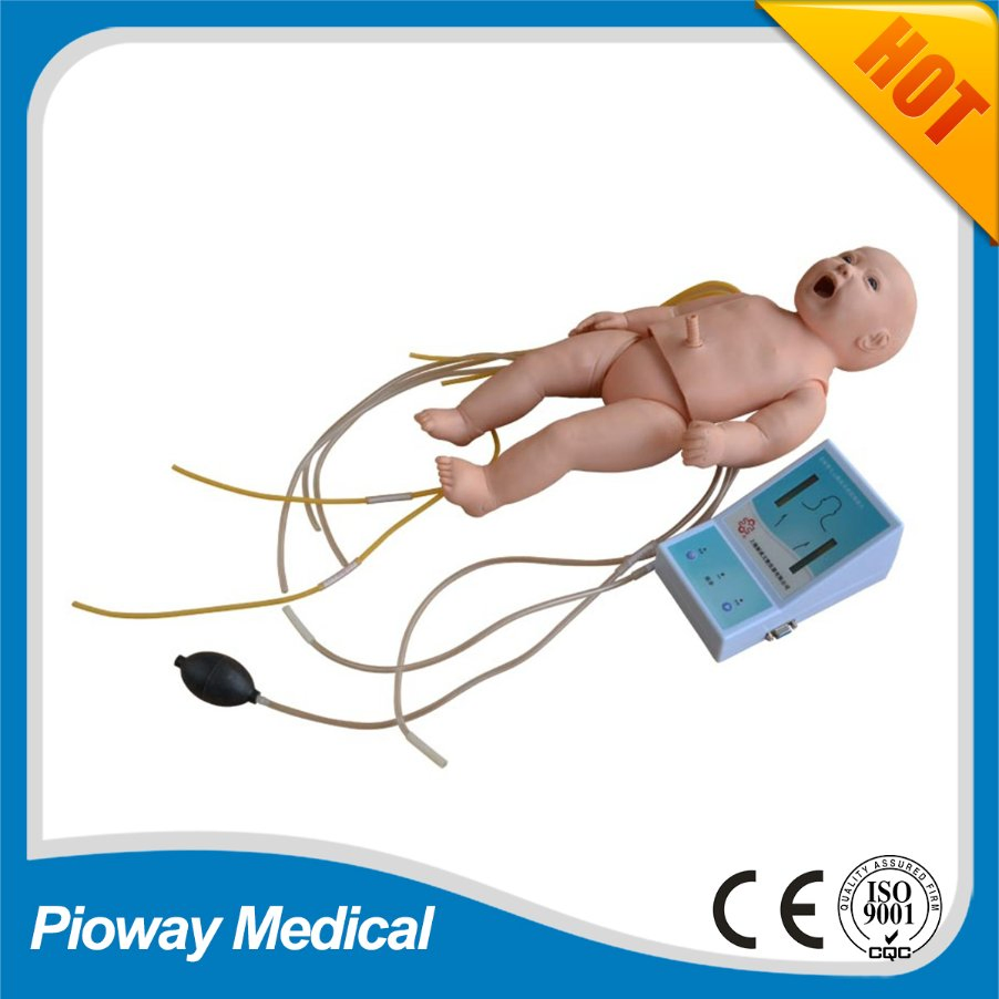 Medical Teaching Adult and Baby CPR Training Manikin (XC-400 Series CPR Manikins)