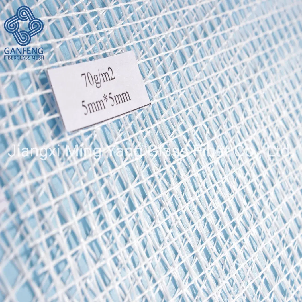 Fiberglass Mesh Detail 1