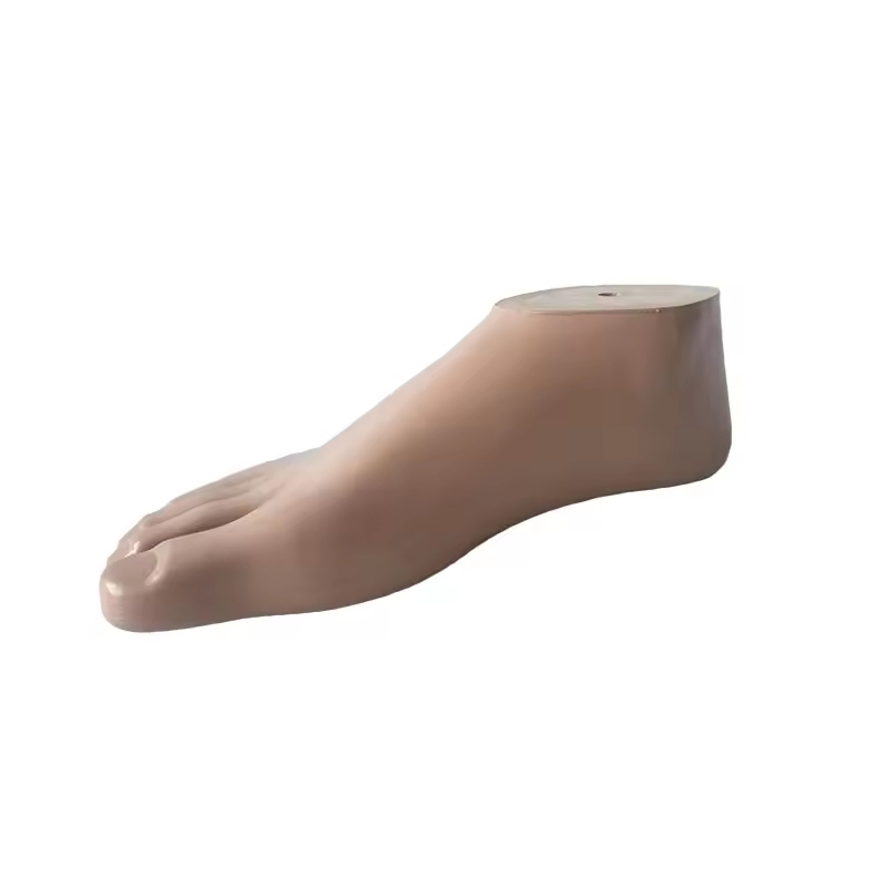 High-Quality Sach Foot Prosthetic Solutions for Better Comfort