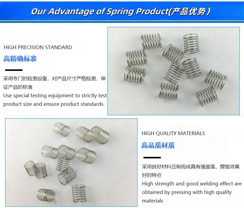 Compression Spring Detail 1