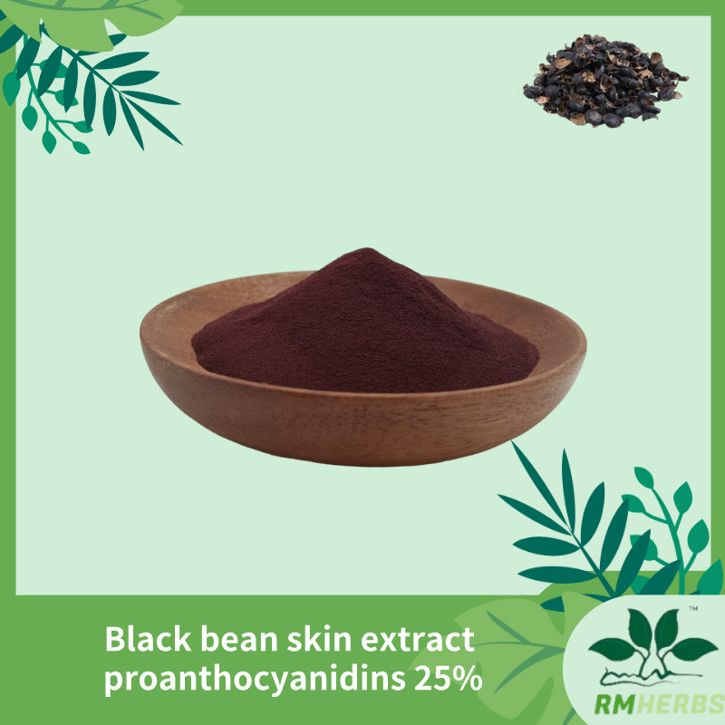Premium Black Bean Extract with 25% Proanthocyanidins for Antioxidant Power