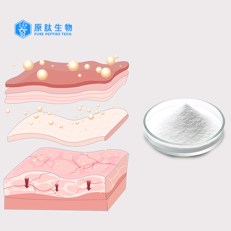 Collagen Tripeptide, Small Molecular Collagen, Skin Care Raw Material, Good Absorbtion