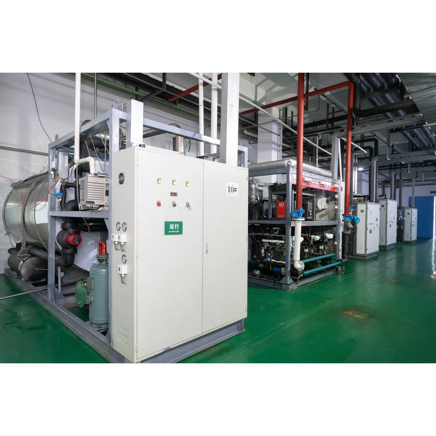 200 Billion Lactobacillus Acidophilus High Potency Supplement Ingredient