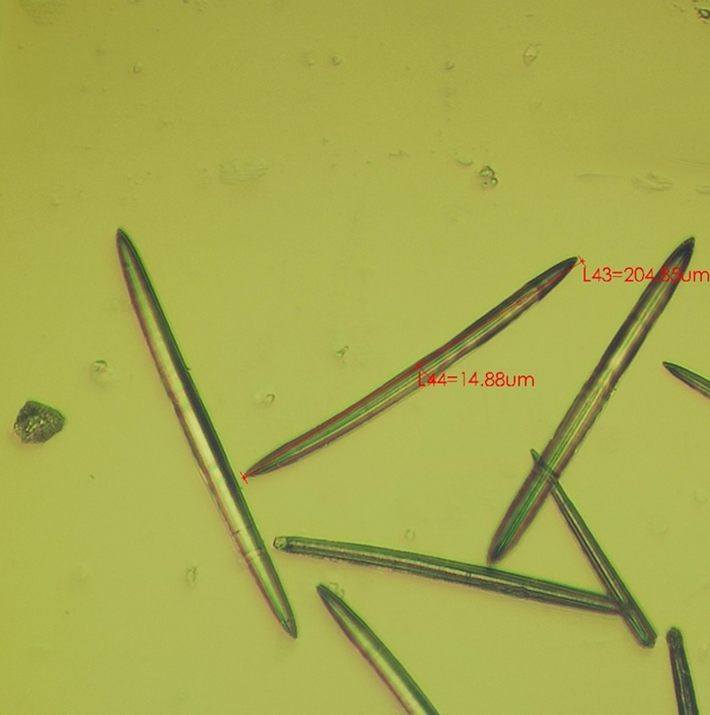 Model 002- 98% Hydrolyzed Sponge /Spicule Raw Materials for Cometics 1kg