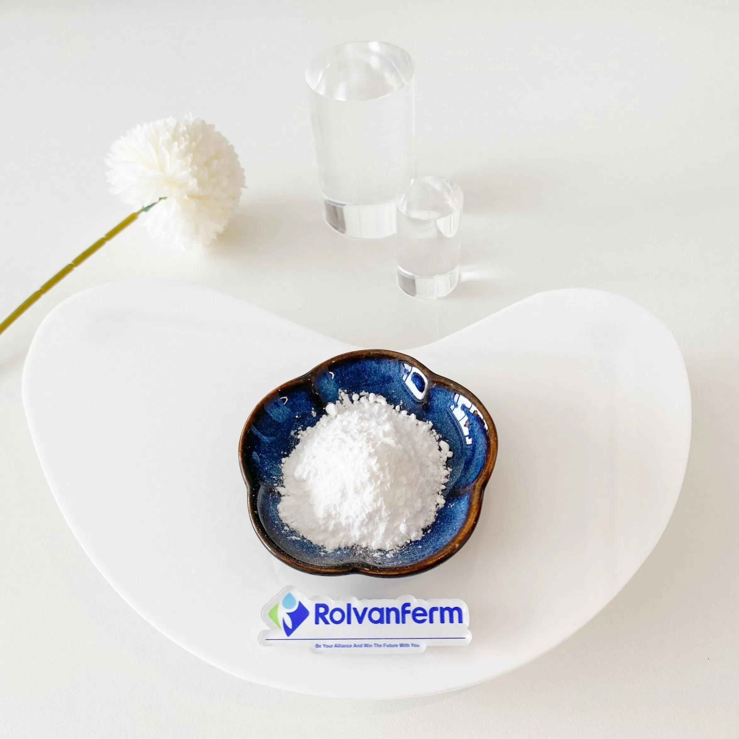 Oral Beauty and Antioxidant Ingredient with Hyaluronic Acid Like Benefits for Supporting Skin Elasticity and Combatting Dryness Tremella Fuciformis