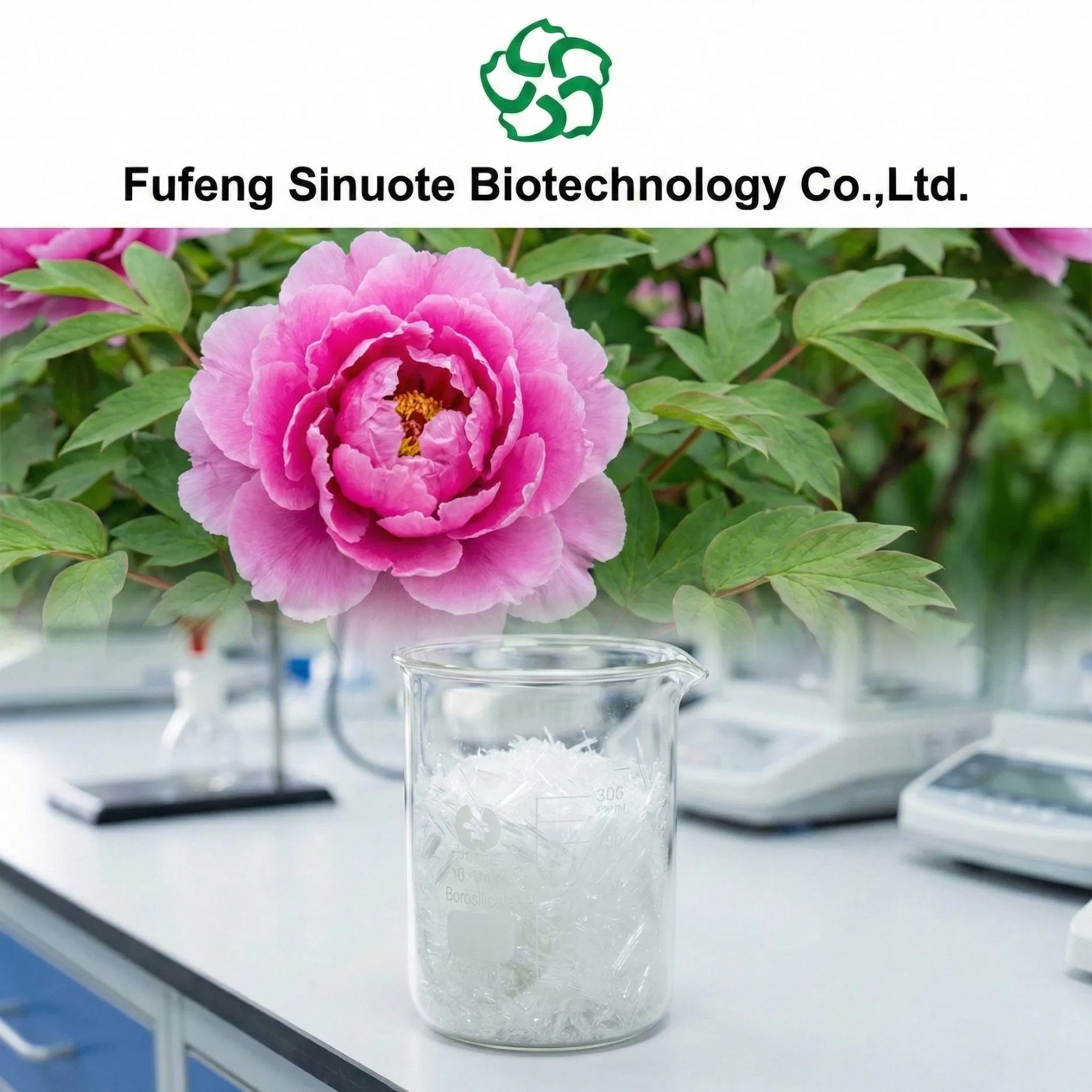 Paeonol 98% (Cynanchum paniculatum) Needle Crystals Anti-Inflammatory &amp; Soothing Agent for Sensitive Skin cGMP