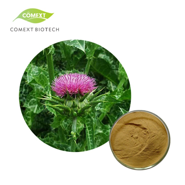 Comext Herbal Silybum Marianum Plant Blessed Thistle Seed Powder 30% Silybins HPLC UV 40%~80% Water Soluble 40% Silymarin Milk Thistle Extract for Liver Health
